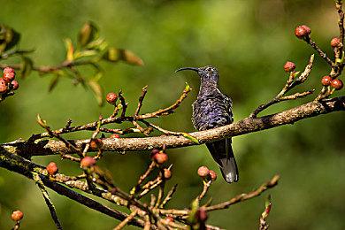 据报道《使命召唤：黑色行动6》营销预算相当好莱坞大片